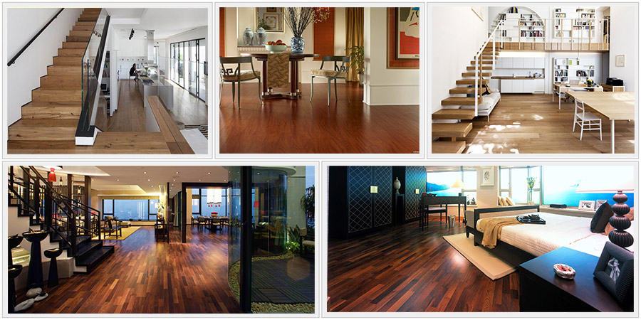 ��˾����