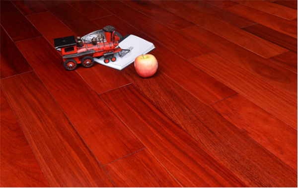 ʵľ�ذ�Ϊʲô�����������