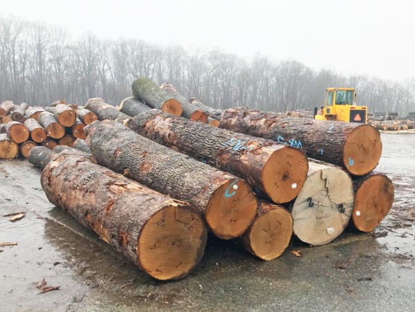 ɽ����ԭľ�ɹ��ռ�